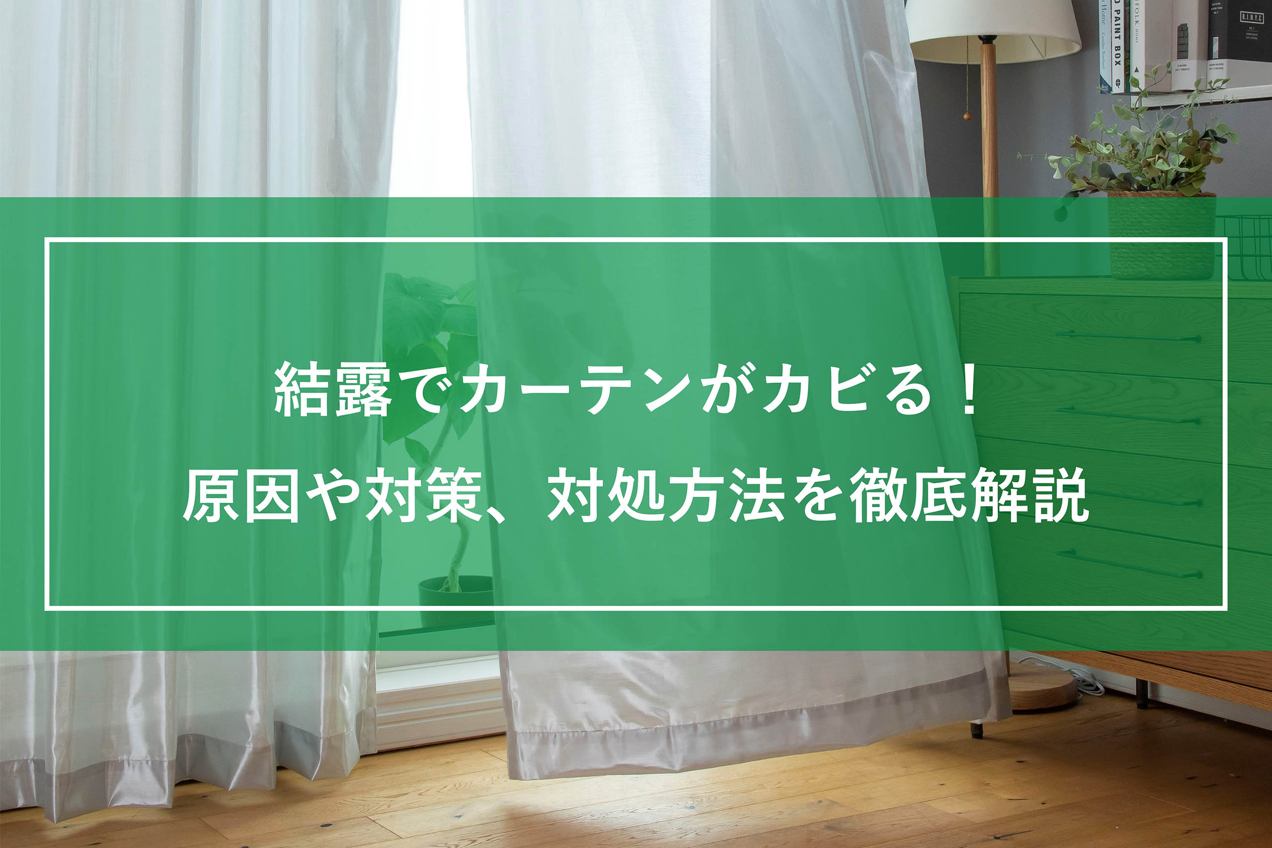 結露でカーテンがカビる！原因や対策、対処方法を徹底解説