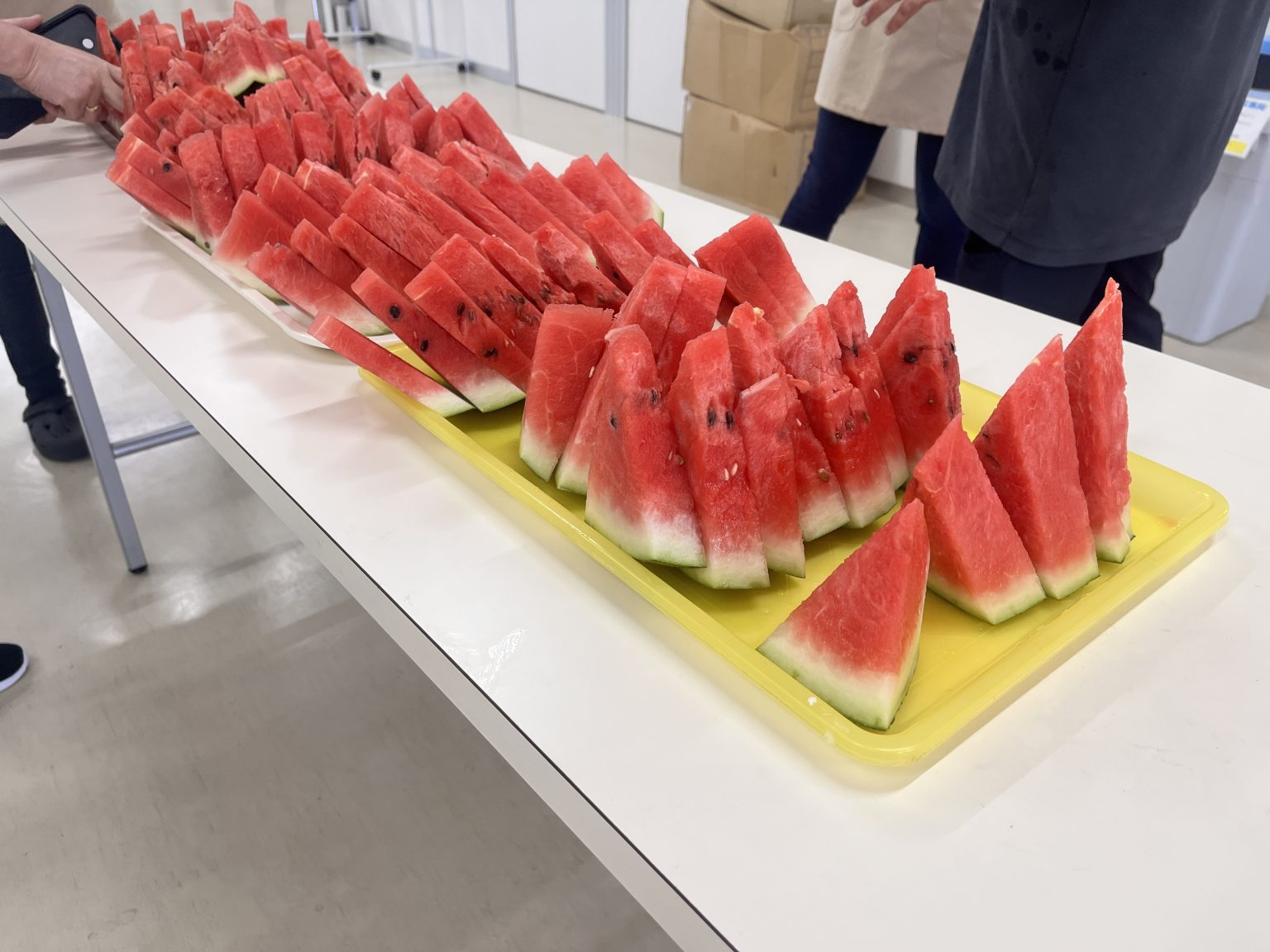 暑い夏にぴったり！突如現れたスイカの山⁉ | COLUMN | TateYoko