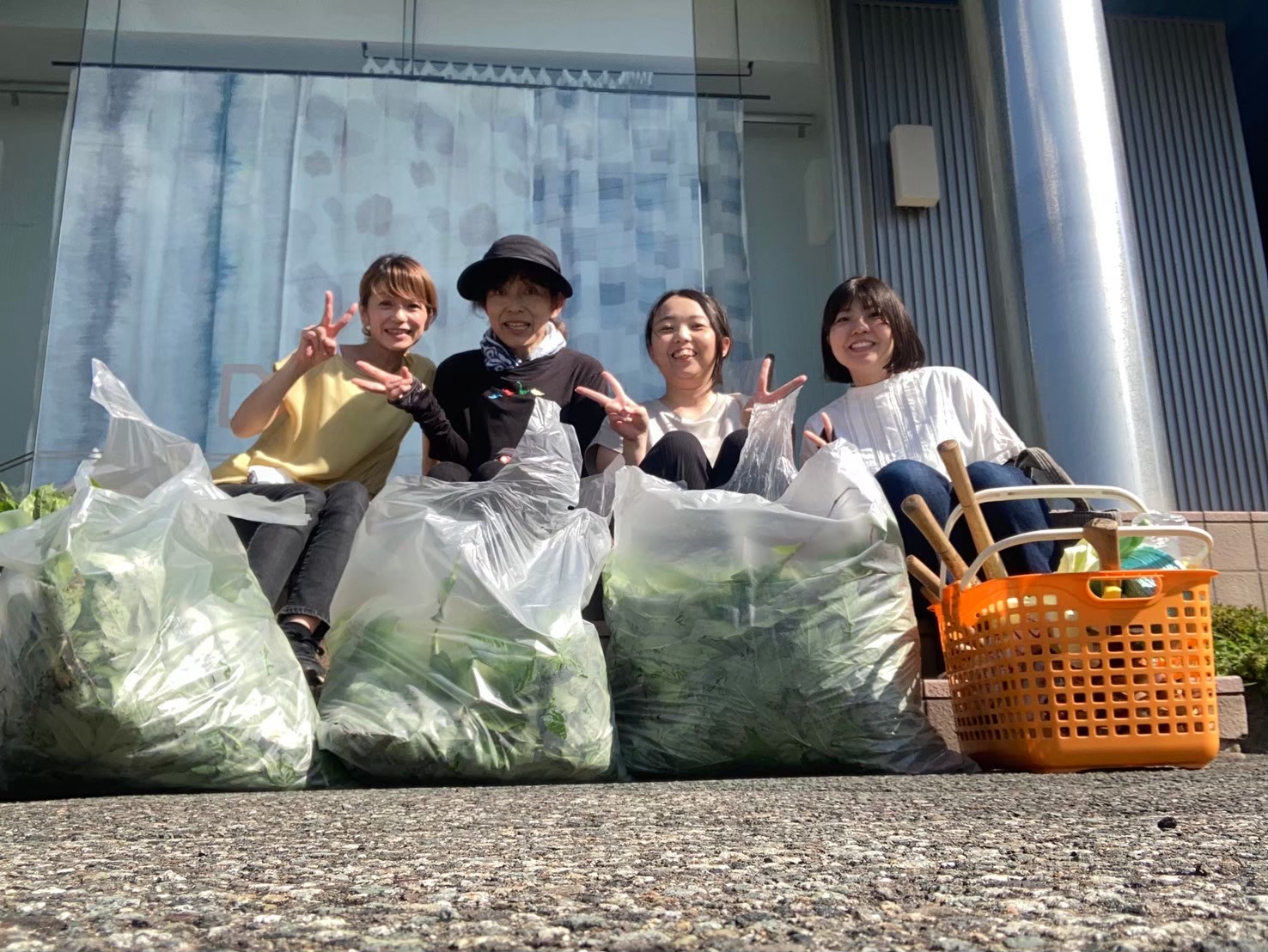 【vol.15】藍が育って、メンバーの想いが繋がる。〜挑戦の50日目と60日目の記録〜