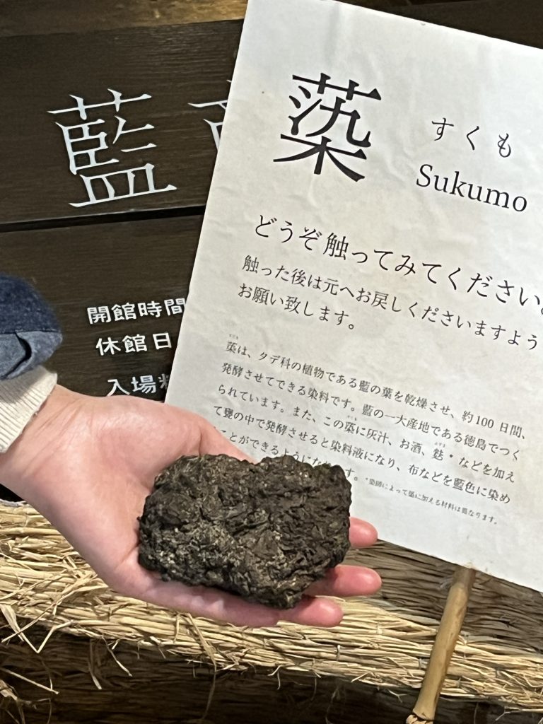 「藍の館」_すくも体験と歴史を学んでいる様子